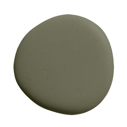 Image de la peinture Pitchy olive - teinte vert olive fonce