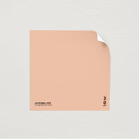 Image de l'échantillon California love - teinte orange pastel