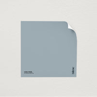 Image de l'échantillon Cool pearl - teinte bleu gris clair