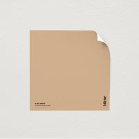 Image de l'échantillon Flat white - teinte caramel beige
