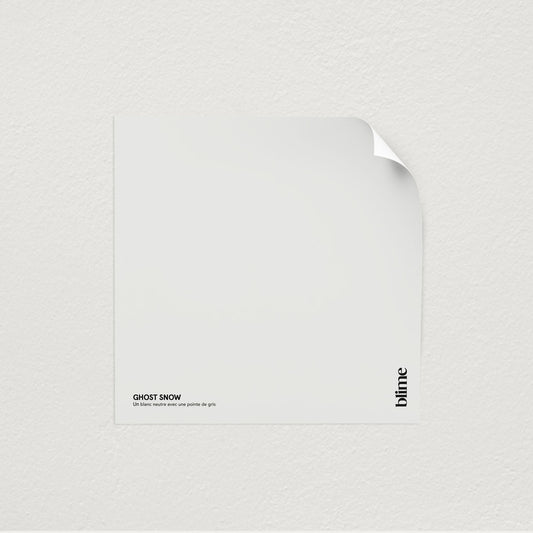 Image de l'échantillon Ghost snow - teinte blanc gris