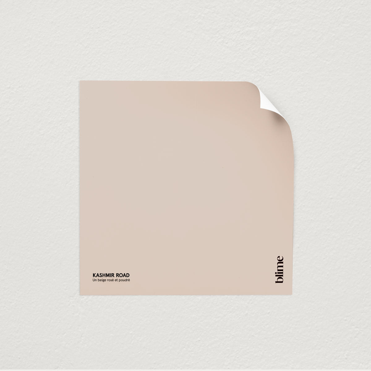 Image de l'échantillon Kashmir road - teinte rose beige poudre