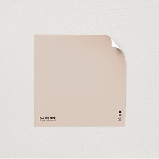 Image de l'échantillon Kashmir road - teinte rose beige poudre