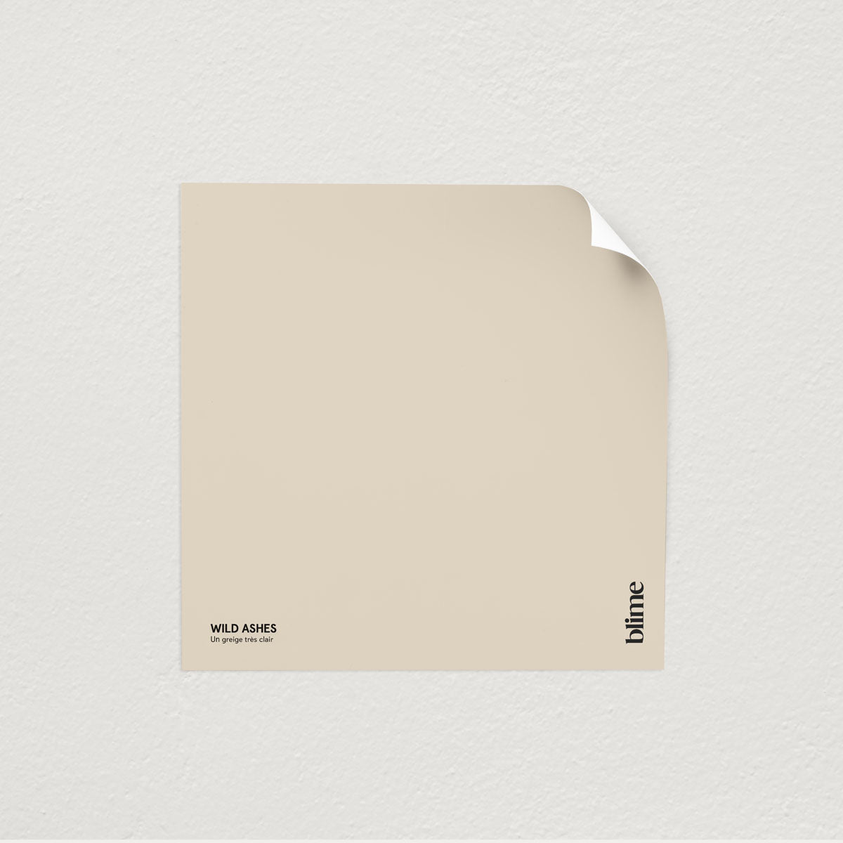 Image de l'échantillon Wild ashes - teinte beige gris