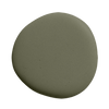 Image de la peinture Pitchy olive - teinte vert olive fonce