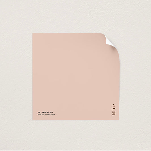 Kashmir road échantillon