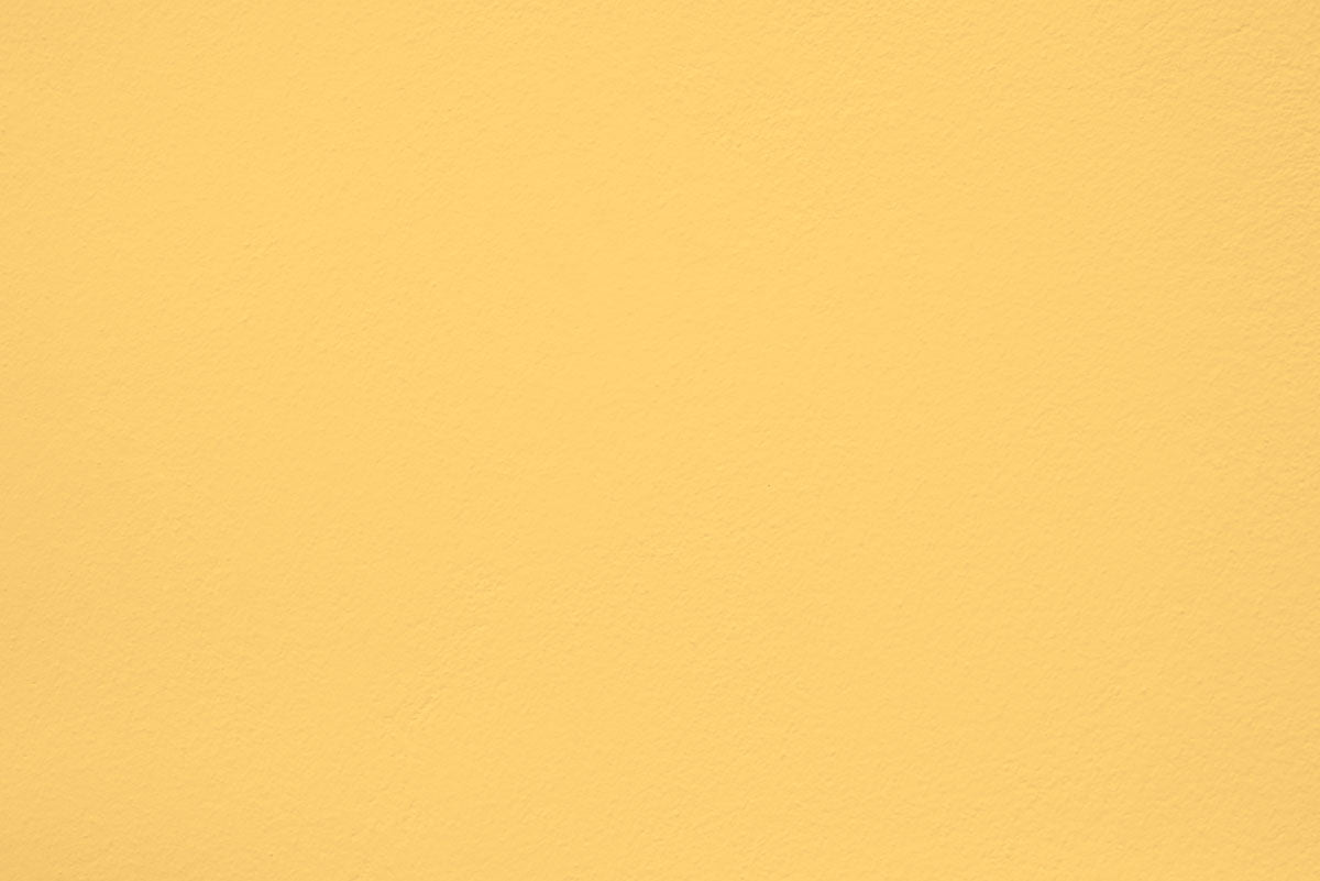 Échantillon Butter cup appliquée sur un mur - teinte jaune pastel