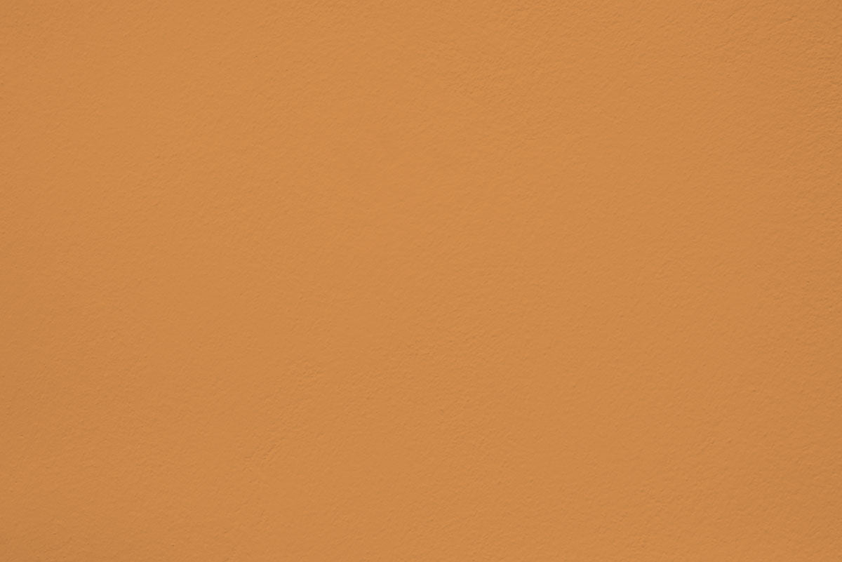 Échantillon Colonel mustard appliquée sur un mur - teinte jaune moutarde