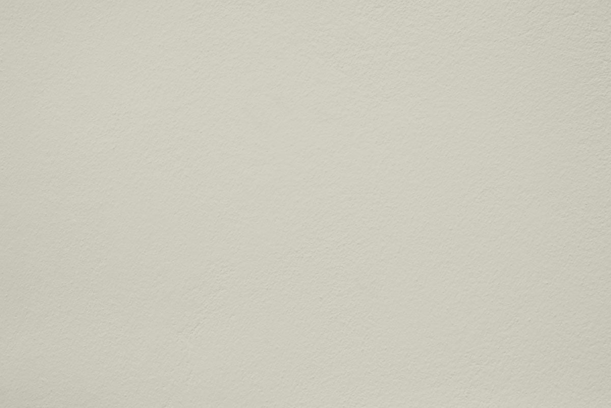 Peinture Crushed leaves appliquée sur un mur - teinte gris vert