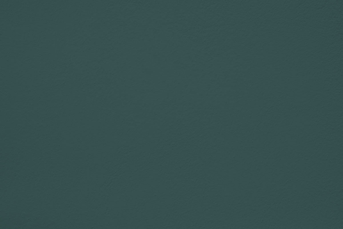 Peinture Deep forest appliquée sur un mur - teinte vert sapin