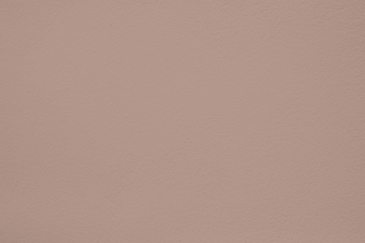 Échantillon Dusty wind appliquée sur un mur - teinte brun beige