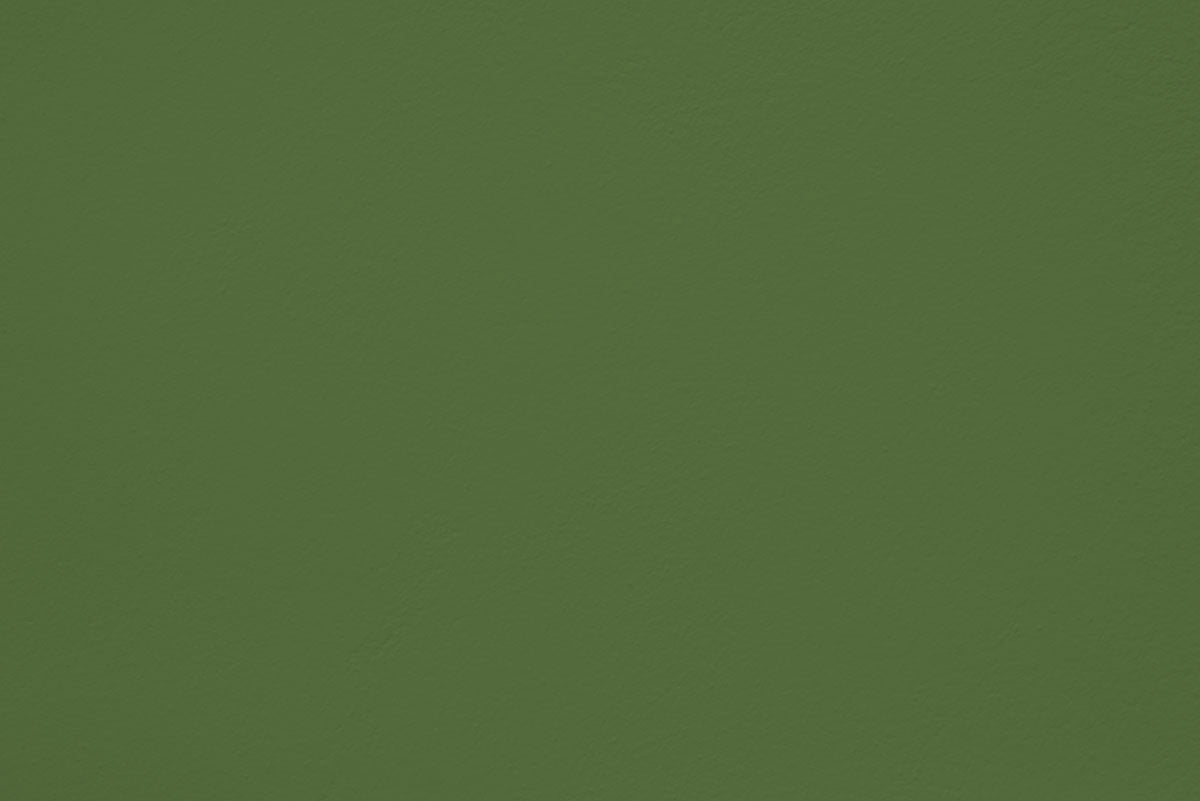Peinture Fresh cut appliquée sur un mur - teinte vert olive moyen