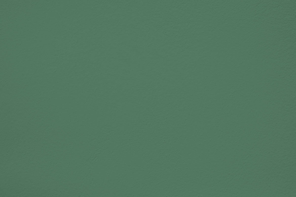Échantillon Jungle elixir appliquée sur un mur - teinte vert jungle