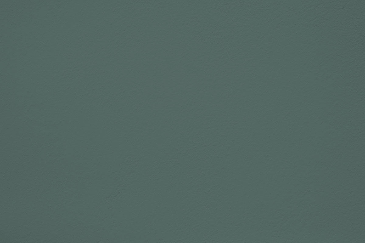 Échantillon Komorebi appliquée sur un mur - teinte vert de gris fonce