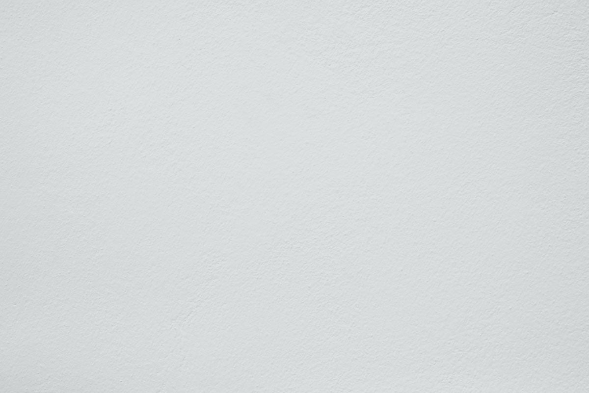 Échantillon Moon wolf appliquée sur un mur - teinte gris clair