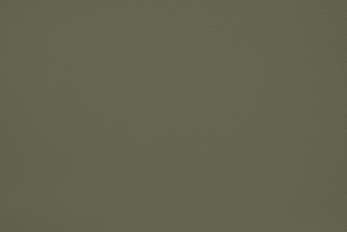 Peinture Pitchy olive appliquée sur un mur - teinte vert olive fonce