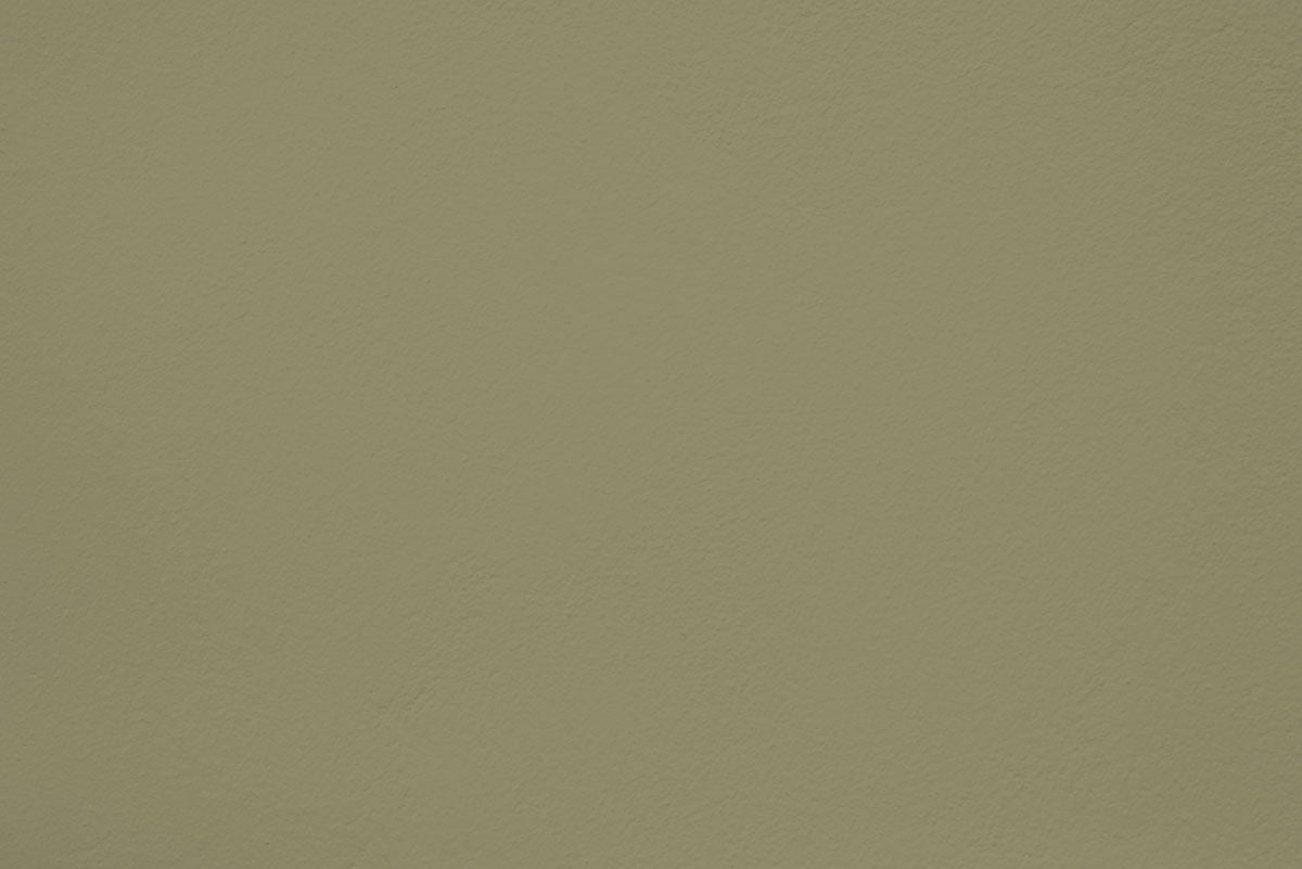 Peinture Sage words appliquée sur un mur - teinte verte