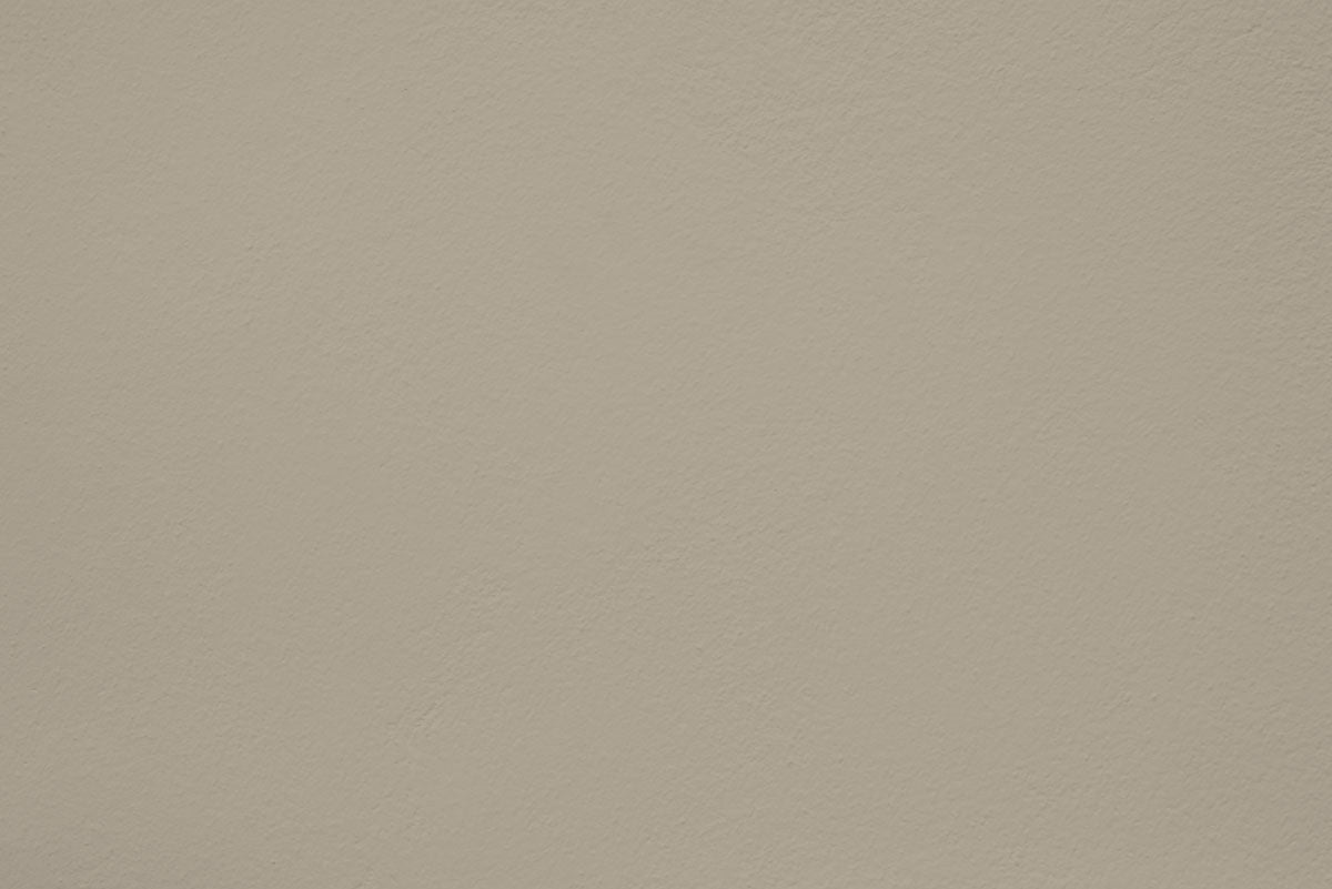 Peinture Sepia mania appliquée sur un mur - teinte gris vert