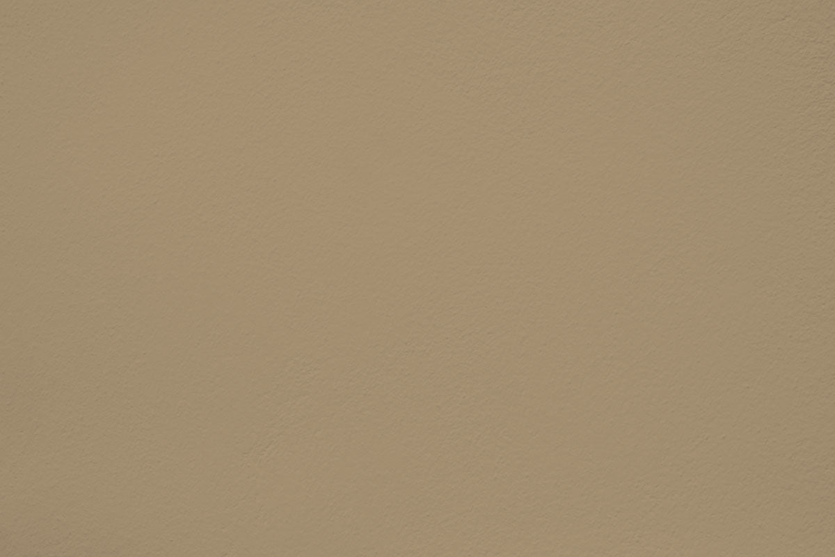 Peinture Sleepy olive appliquée sur un mur - teinte vert olive clair
