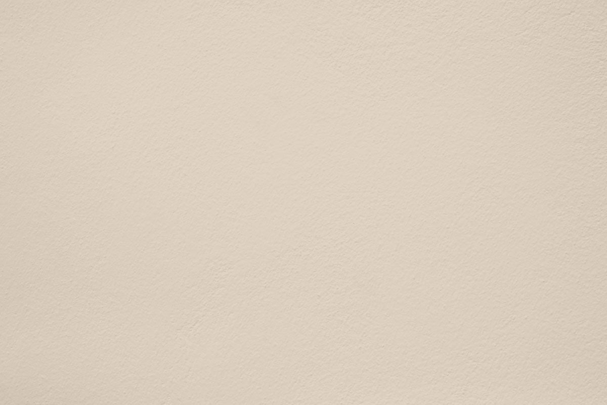 Peinture Wild ashes appliquée sur un mur - teinte beige gris