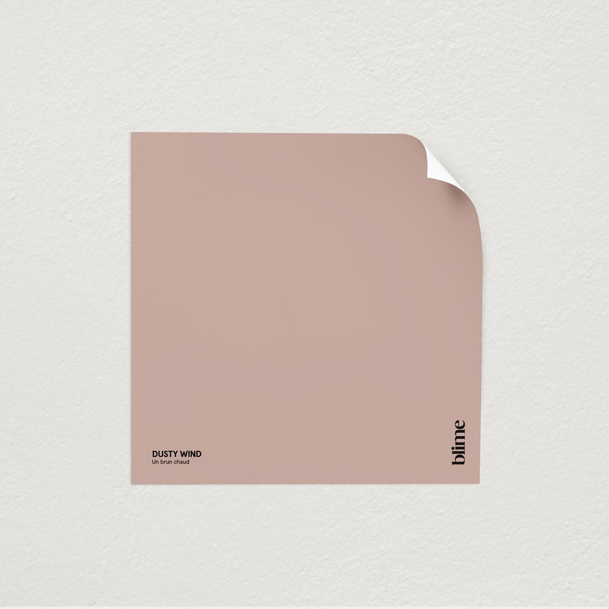 Échantillon de peinture Dusty wind - format test - teinte brun beige