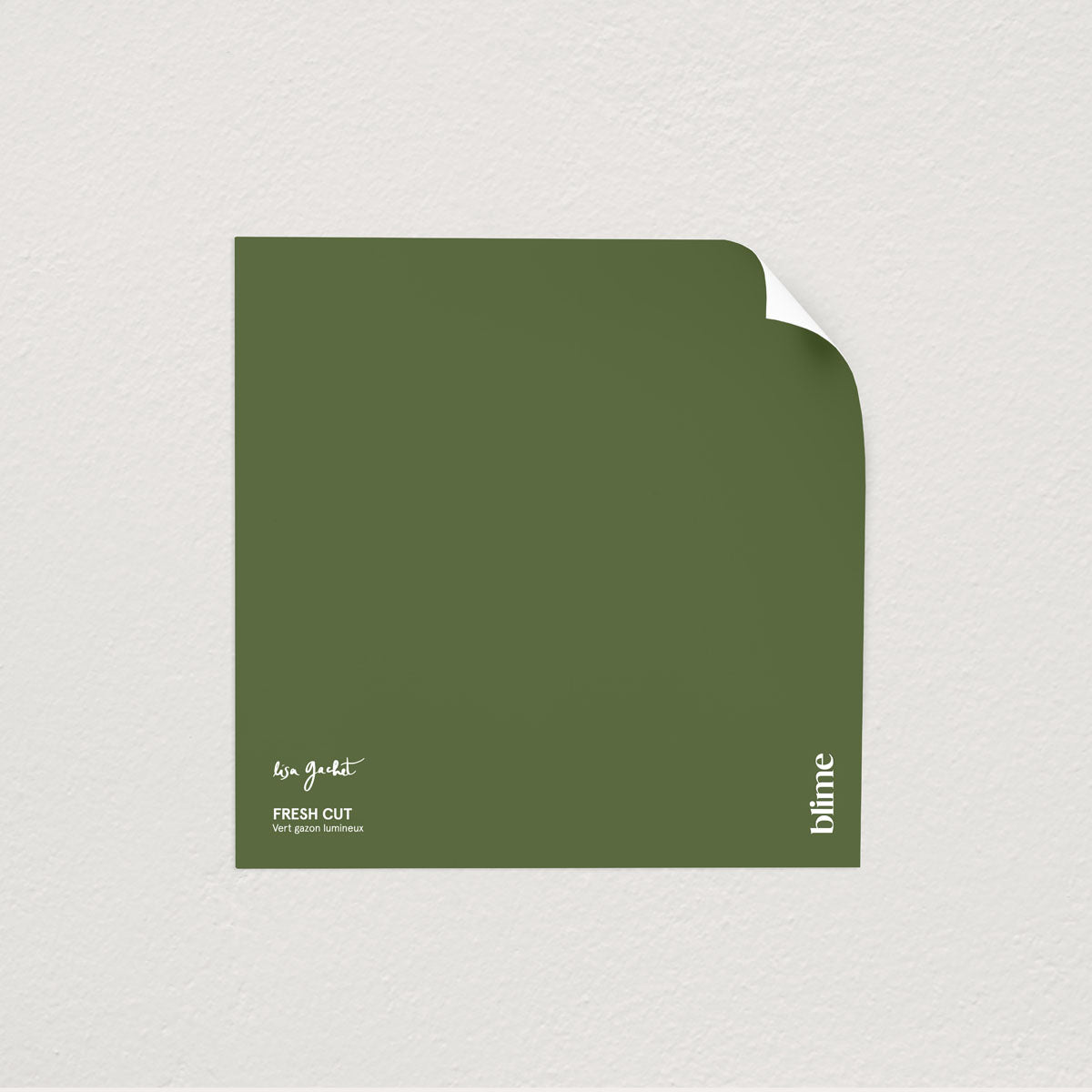 Échantillon de peinture Fresh cut - format test - teinte vert olive moyen