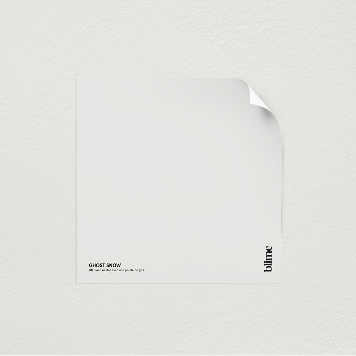 Échantillon de peinture Ghost snow - format test - teinte blanc gris