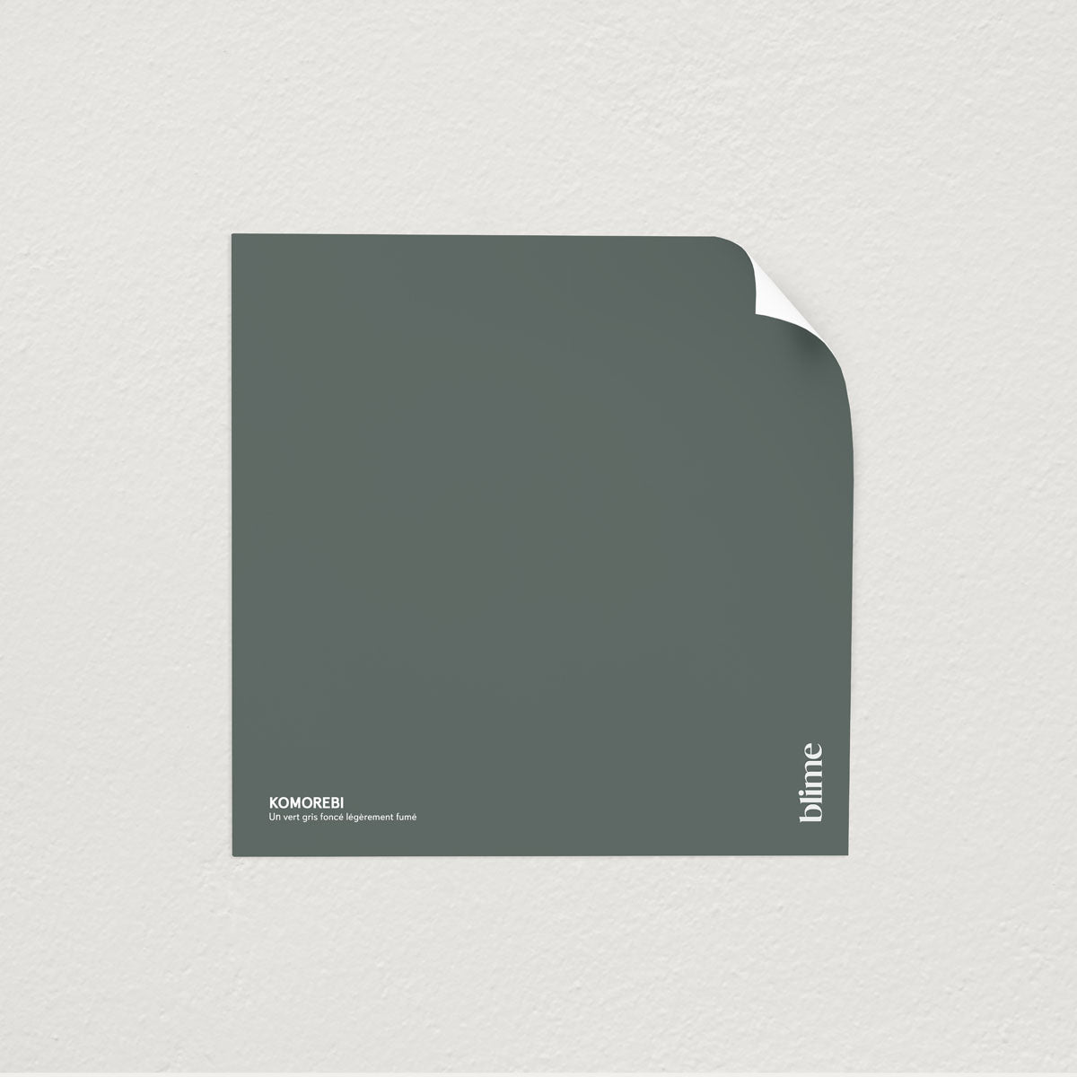 Échantillon de peinture Komorebi - format test - teinte vert de gris fonce