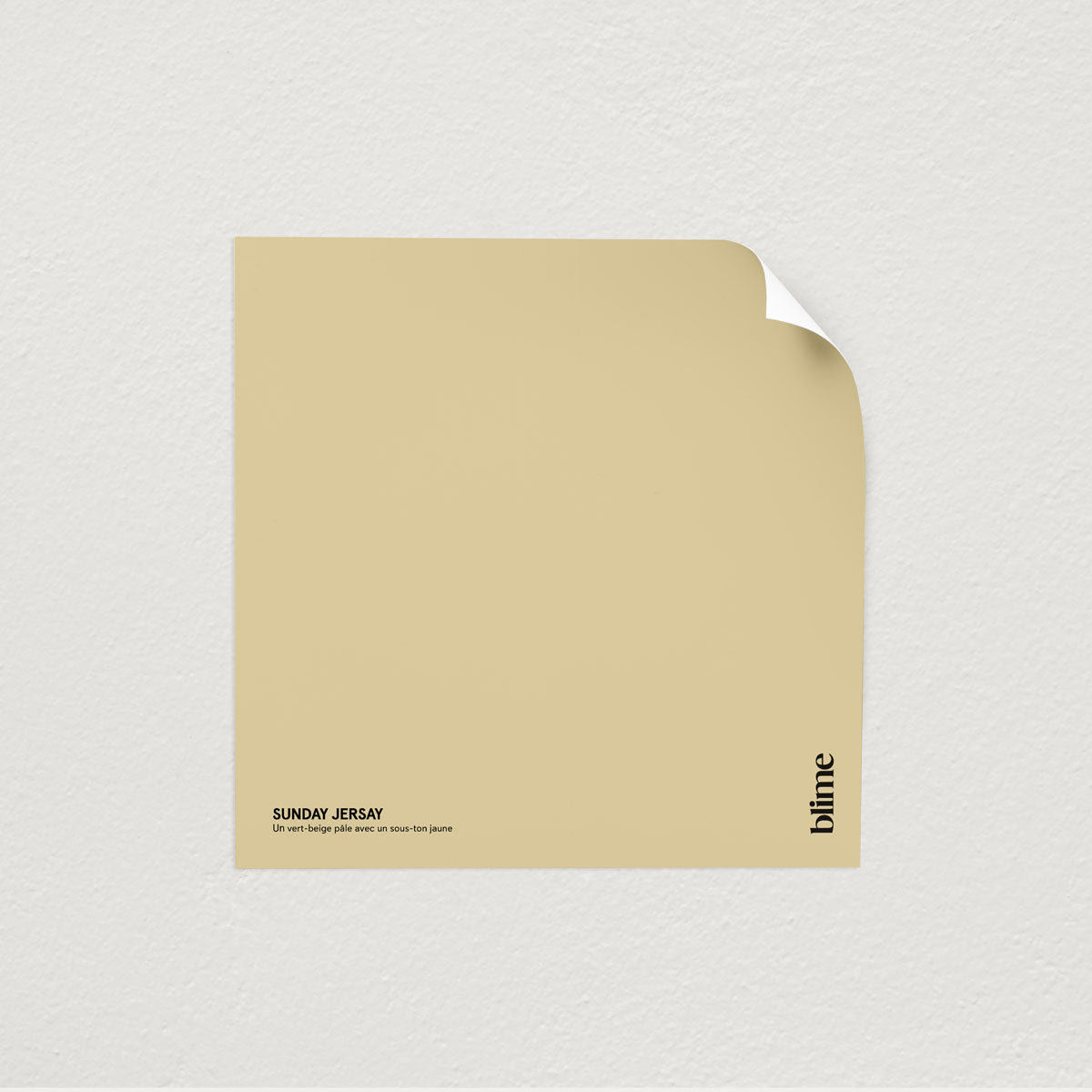 Échantillon de peinture Sunday jersay - format test - teinte vert jaune claire