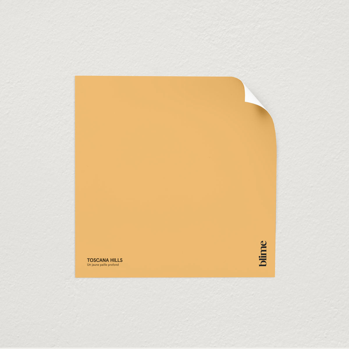 Échantillon de peinture Toscana hills - format test - teinte jaune paille