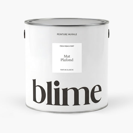 Peinture blanche mat plafond