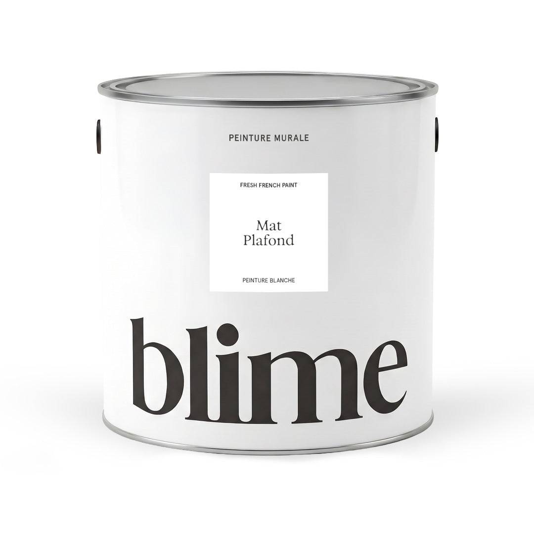 Peinture blanche mat plafond