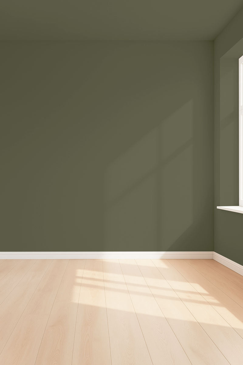 Visualisation 3D de la peinture Pitchy olive avec ombres - teinte vert olive fonce