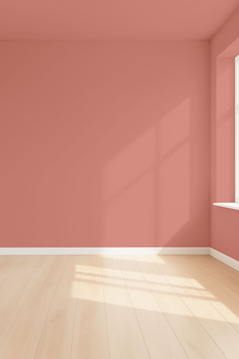 Visualisation 3D de la peinture Road trip avec ombres - teinte terracotta rose