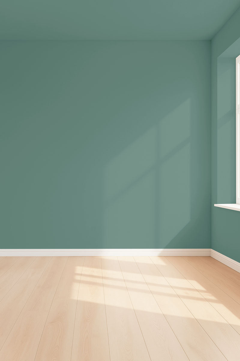 Visualisation 3D de la peinture Salvia calma avec ombres - teinte vert de gris