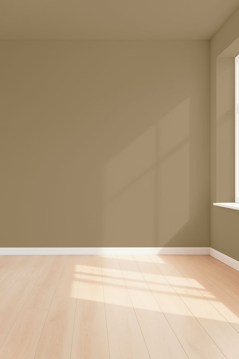Visualisation 3D de la peinture Sleepy olive avec ombres - teinte vert olive clair